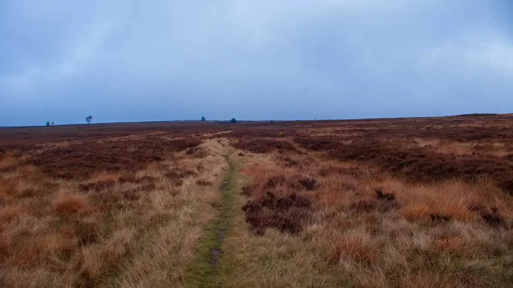 A moorland path heads across Hutton Ridge moorland from Hutton-le-Hole