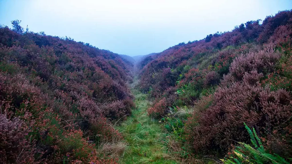 A moors path follows the bottom of a channel