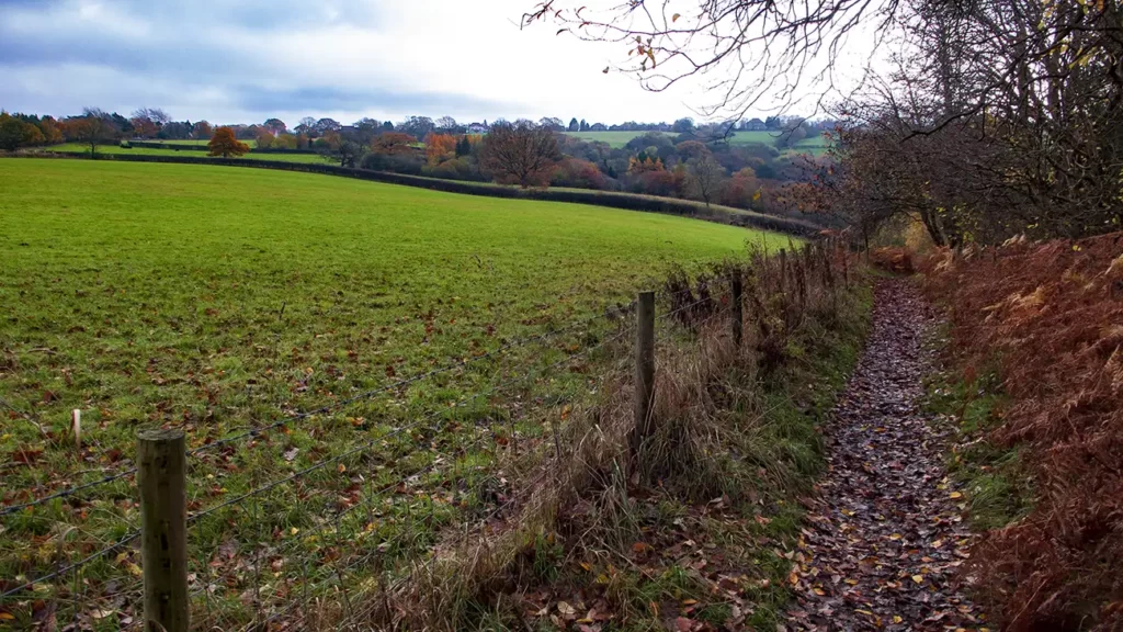 A leafy countryside footpath runs alongside a grassy field close to Goathland, North Yorkshire