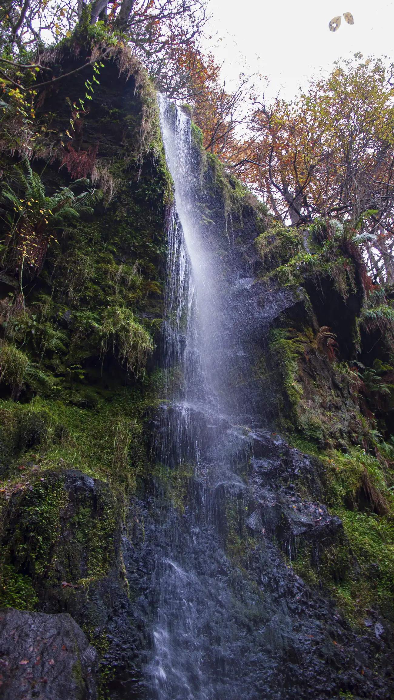Mallyan Spout on the Goathland Waterfall Walk