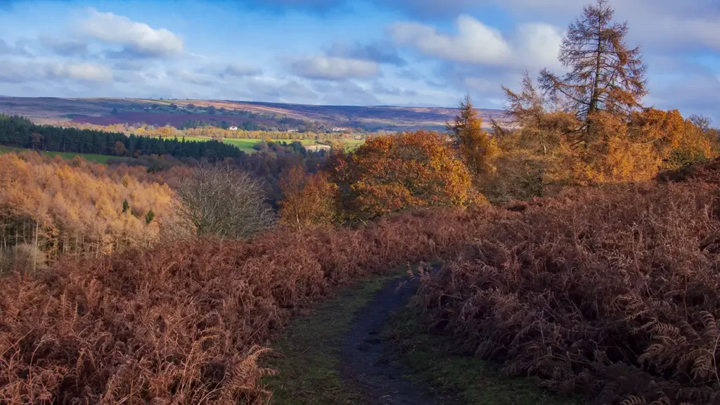 New Wath Scar, North Yorkshire