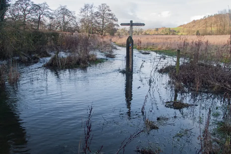 A footpath and bridleway signpost sits in the middle of a flood beside a swollen river